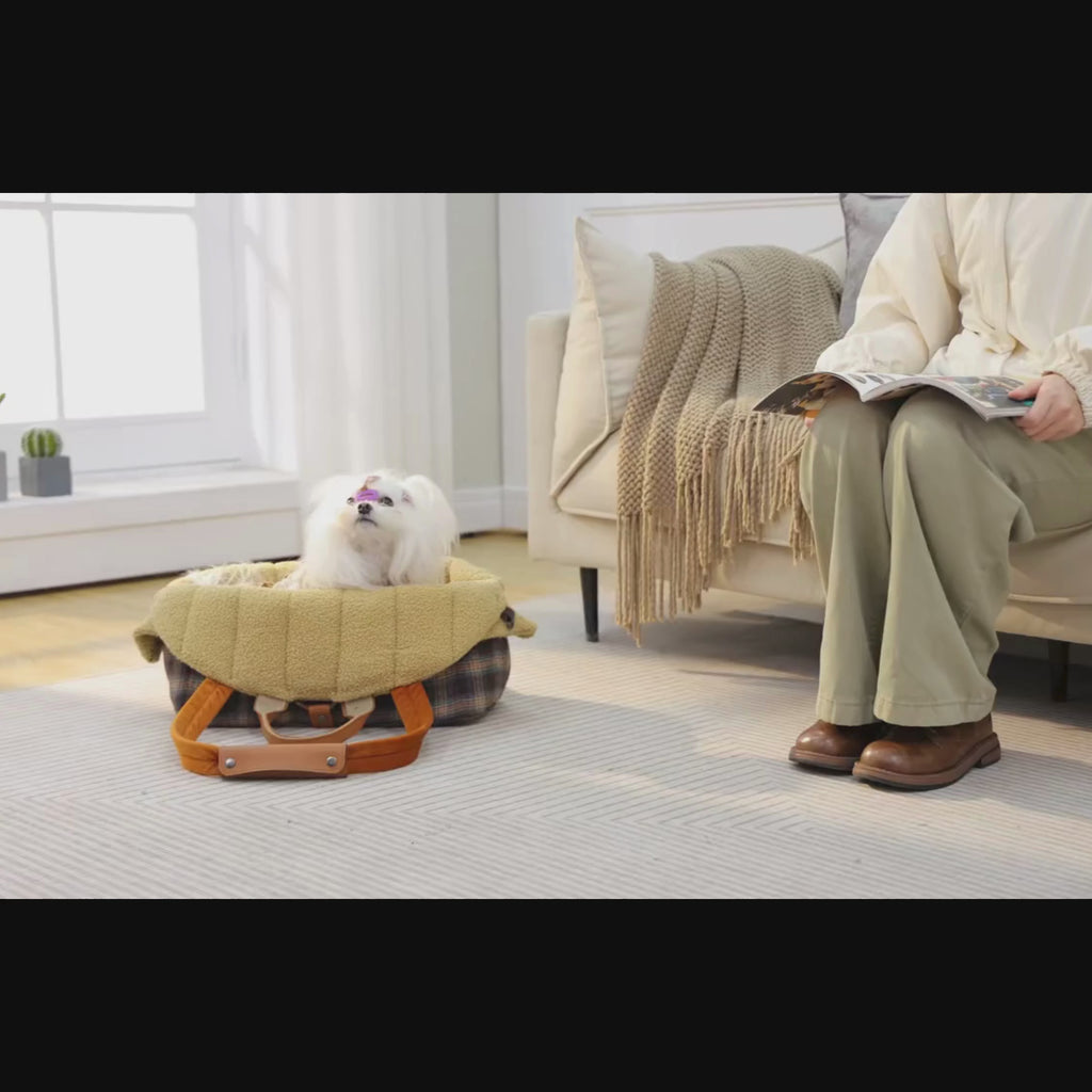 sac-a-main-de-transport-pour-petit-chien-a-carreaux-et-fourrure-video