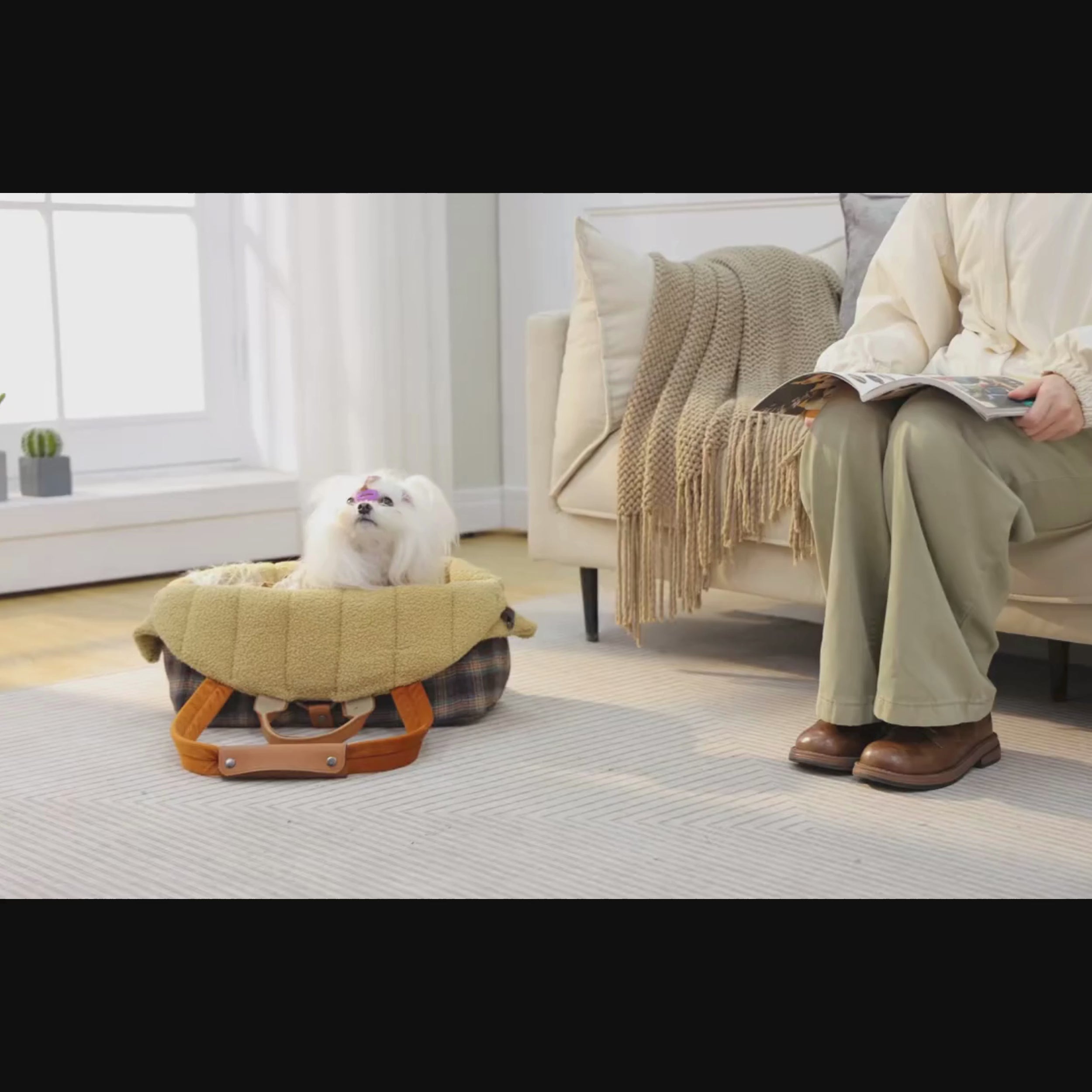 sac-a-main-de-transport-pour-petit-chien-a-carreaux-et-fourrure-video