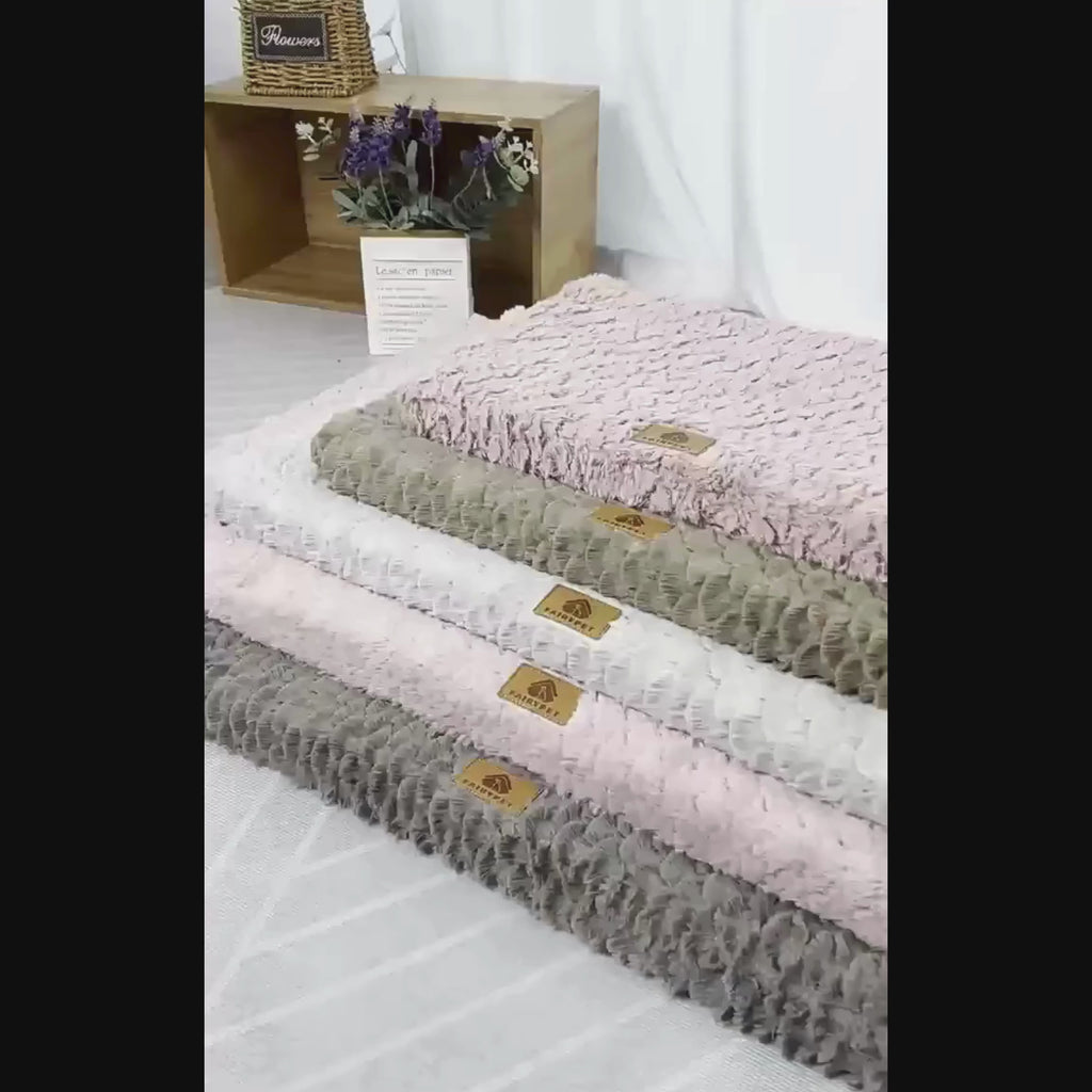 video tapis orthopedique chien
