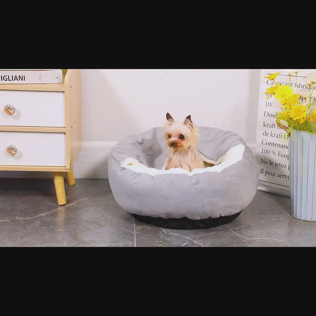 panier-orthopedique-pour-chien-semi-ferme-video