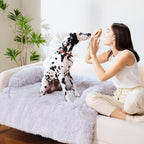protection-de-canape-pour-chien-en-fourrure-avec-rebord-situation-gris-sfoa