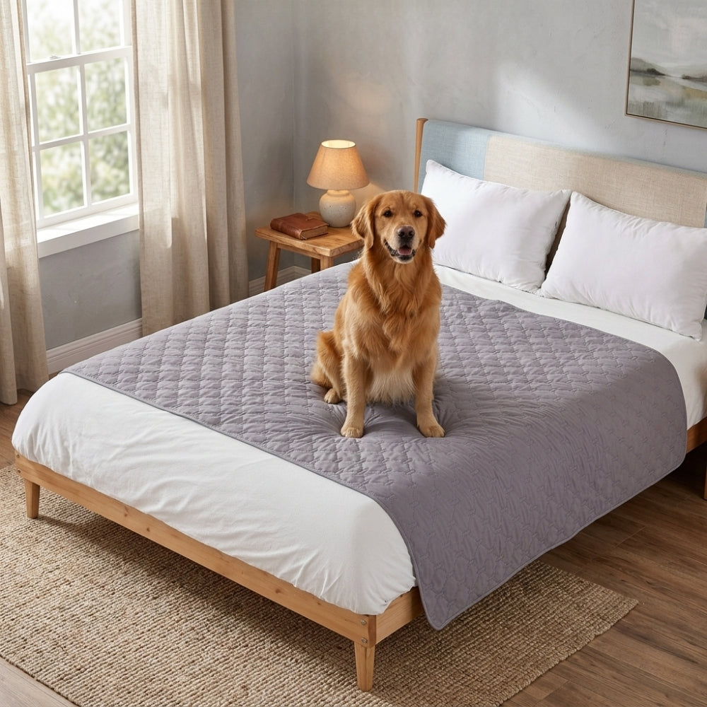 protection-de-lit-pour-chien-gris-chambre