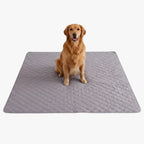 protection-de-lit-pour-chien-gris-fond