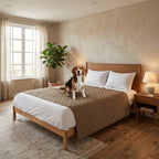 protection-de-lit-pour-chien-marron-chambre