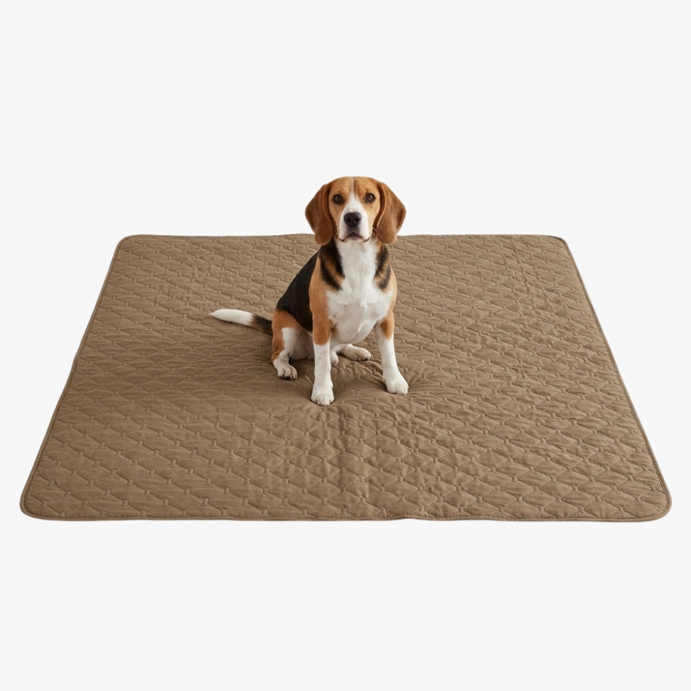 protection-de-lit-pour-chien-marron-fond