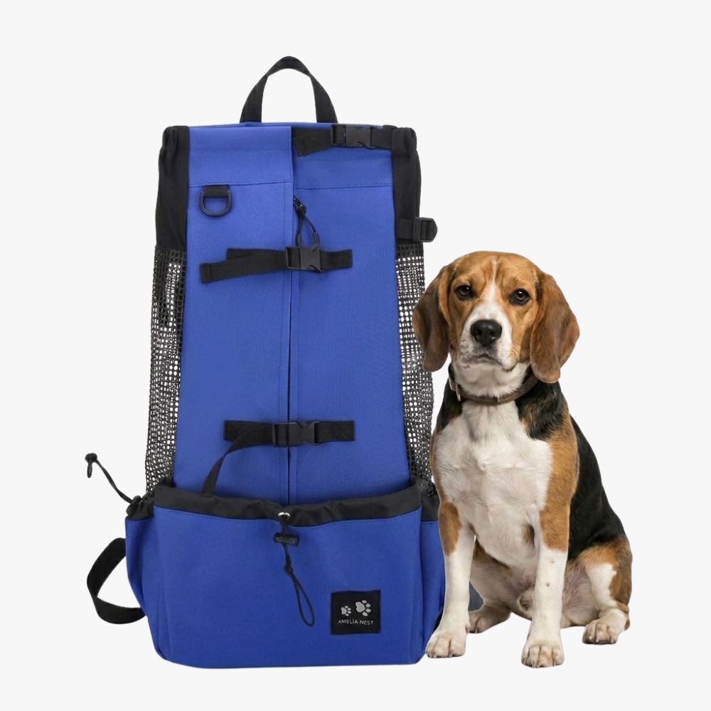 sac-a-dos-de-transport-pour-chien-bleu-variant