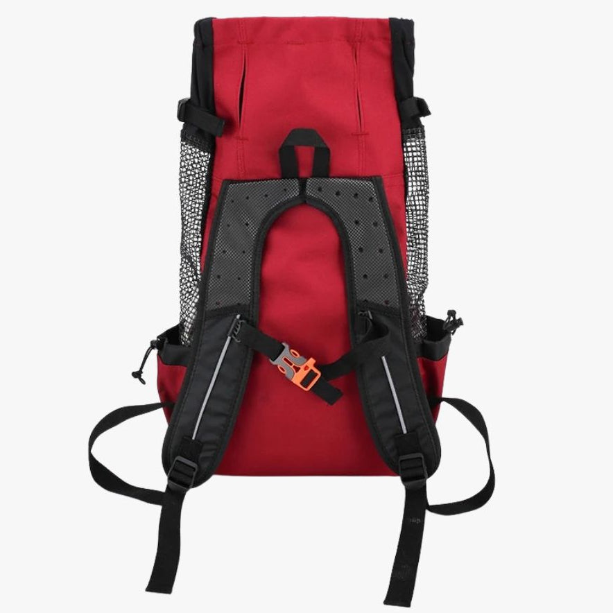 sac-a-dos-de-transport-pour-chien-bretelles
