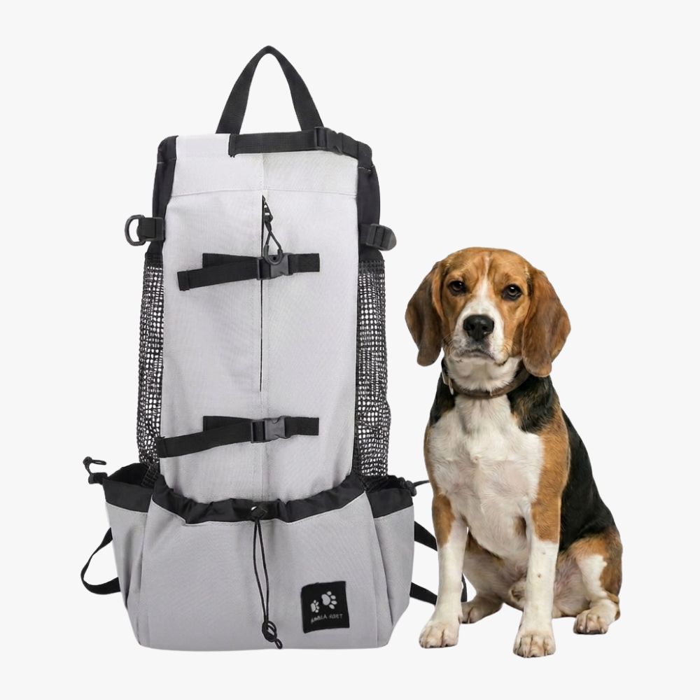 sac-a-dos-de-transport-pour-chien-gris-variant