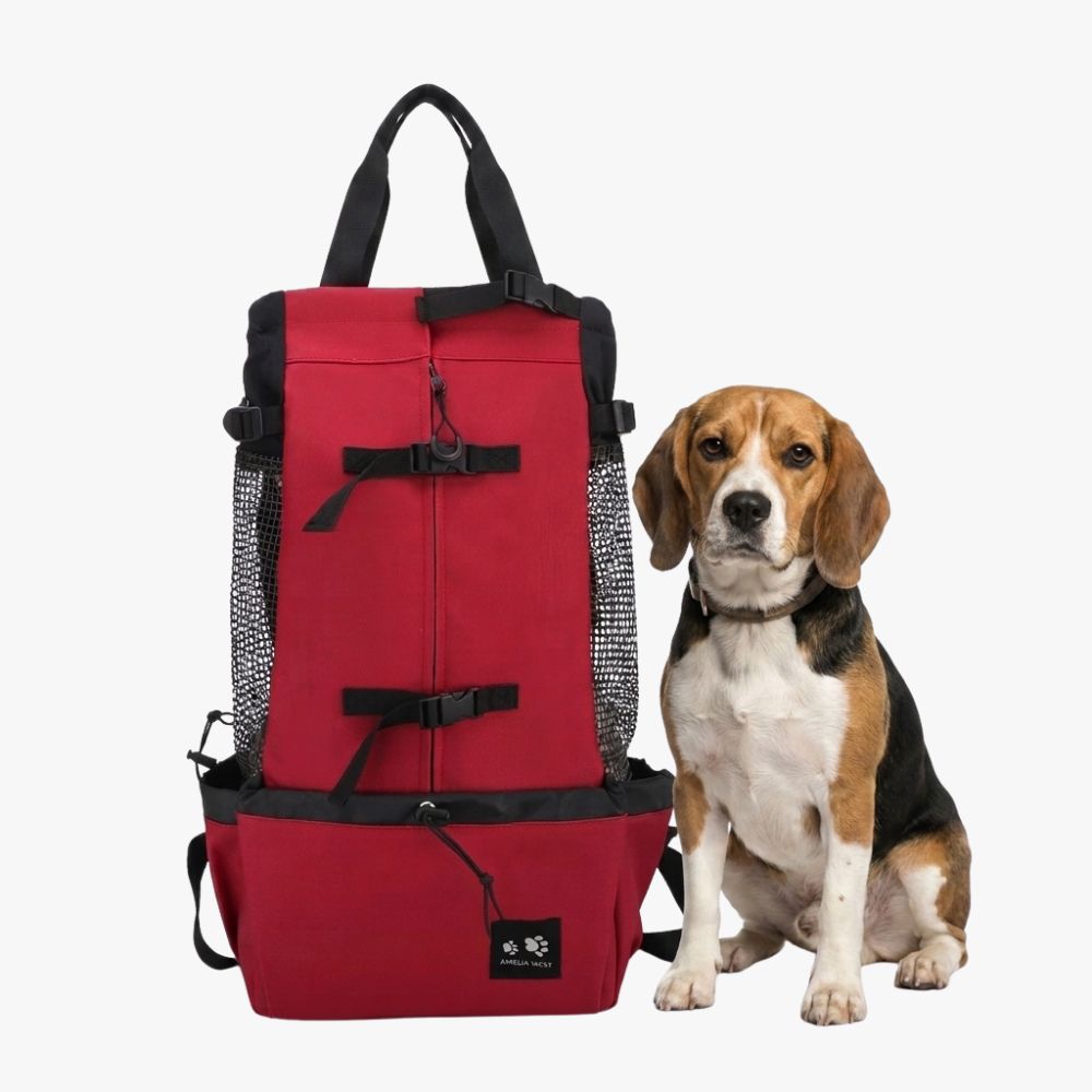 sac-a-dos-de-transport-pour-chien-rouge-variant