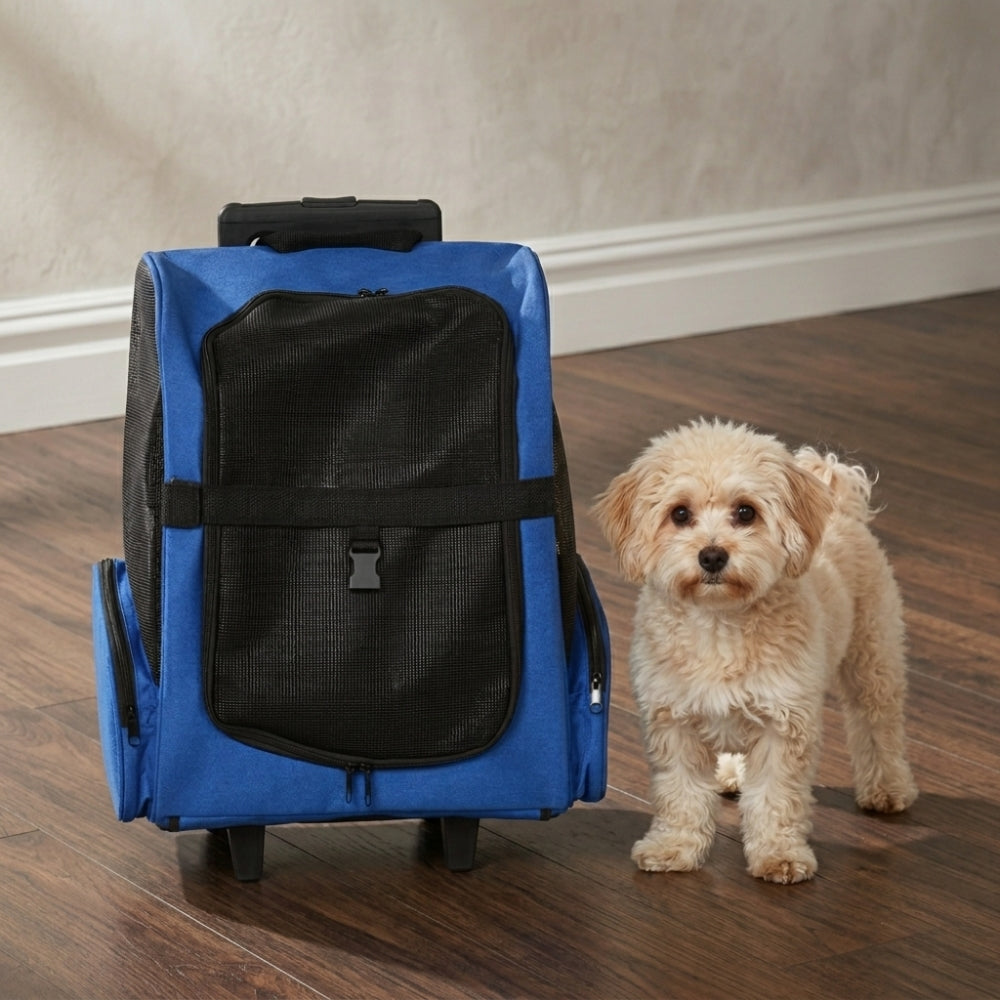 sac-a-dos-de-transport-pour-chien-roulettes-bleu-chien-interieur