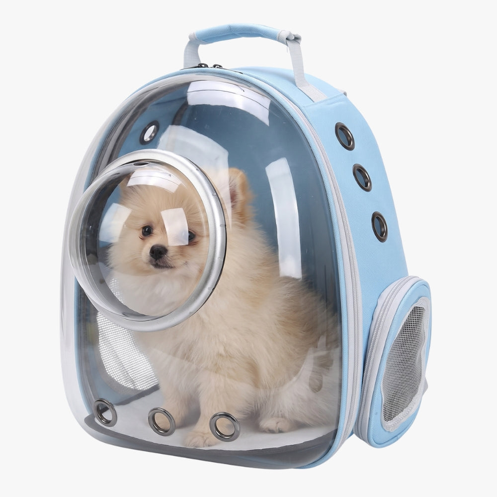 sac-a-dos-de-transport-pour-chien-transparent-bleu-clair