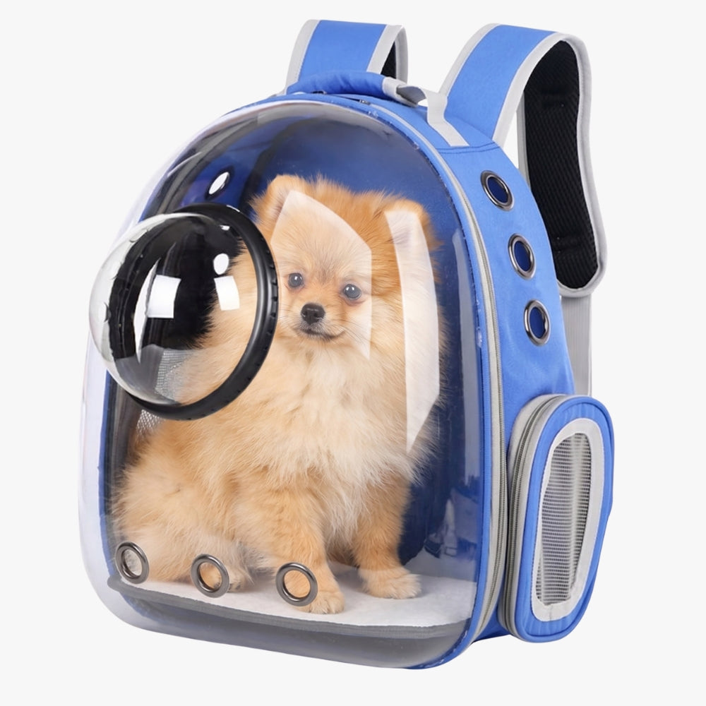 sac-a-dos-de-transport-pour-chien-transparent-bleu