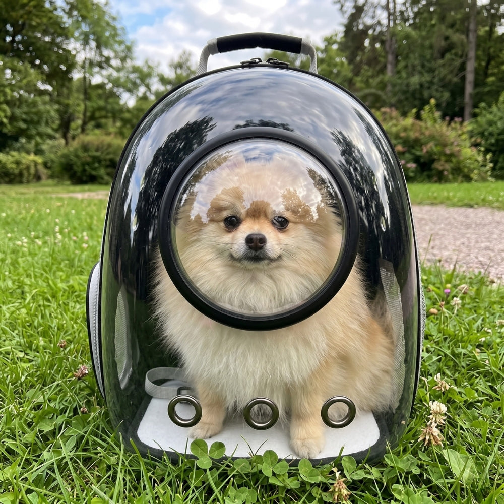 sac-a-dos-de-transport-pour-chien-transparent-herbe