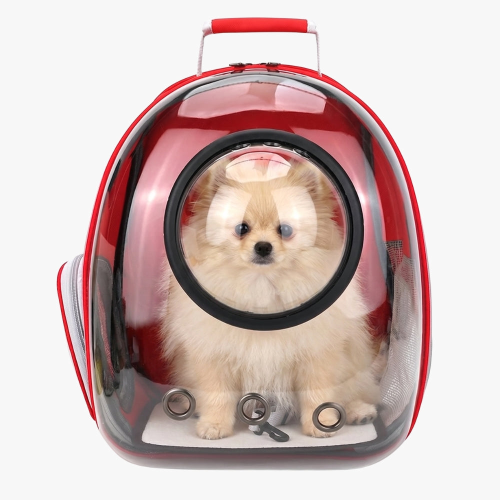 sac-a-dos-de-transport-pour-chien-transparent-rouge