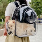 sac-a-dos-de-transport-pour-chien-transparent-situation-dos