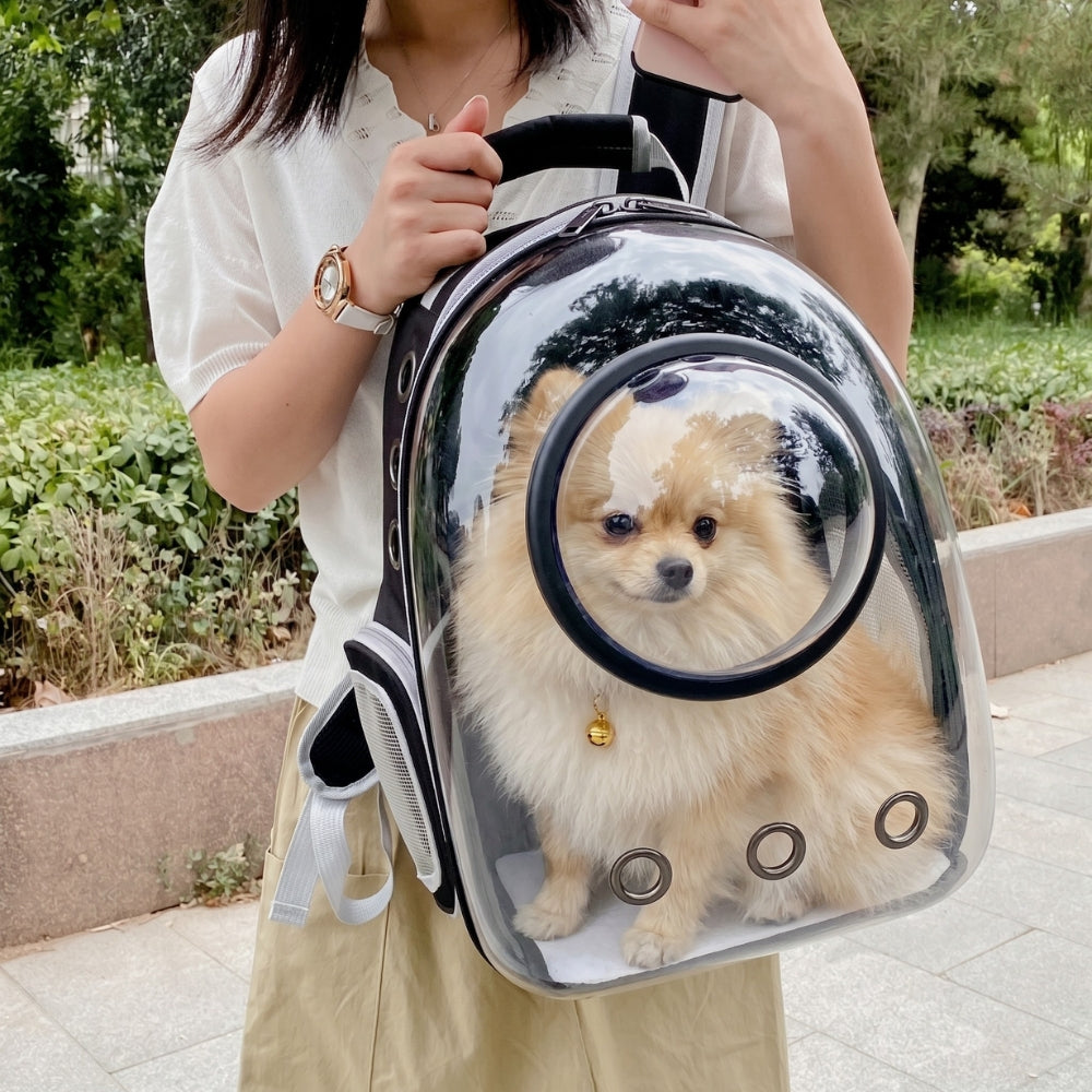 sac-a-dos-de-transport-pour-chien-transparent-situation