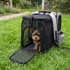 sac-a-dos-pour-petit-chien-convertible-lit-moustiquaire-situation-herbe