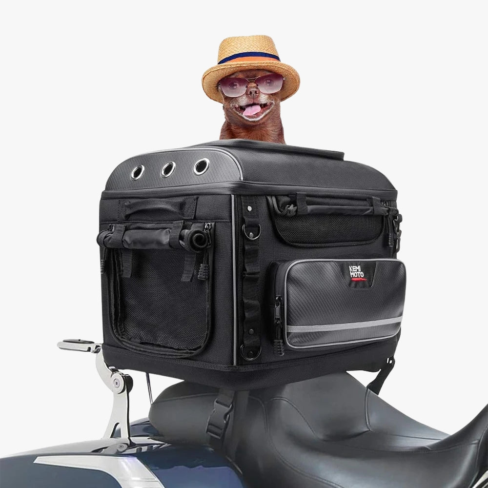 sac-de-transport-moto-pour-petit-chien