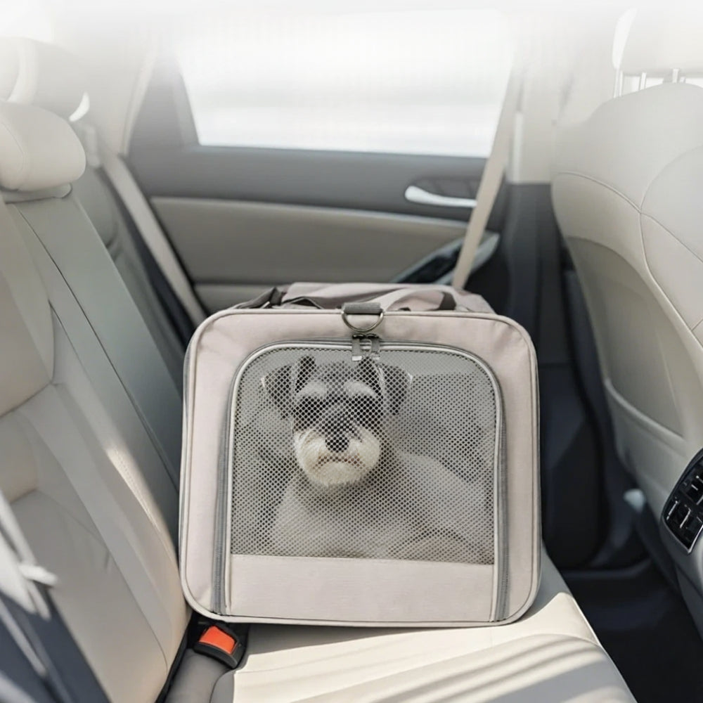 sac-de-transport-pour-chien-a-roulettes-beige-voiture