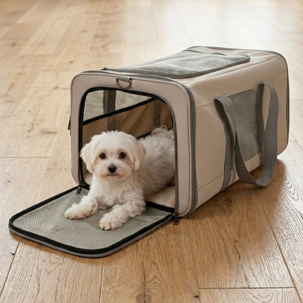 sac-de-transport-pour-chien-a-roulettes-salon