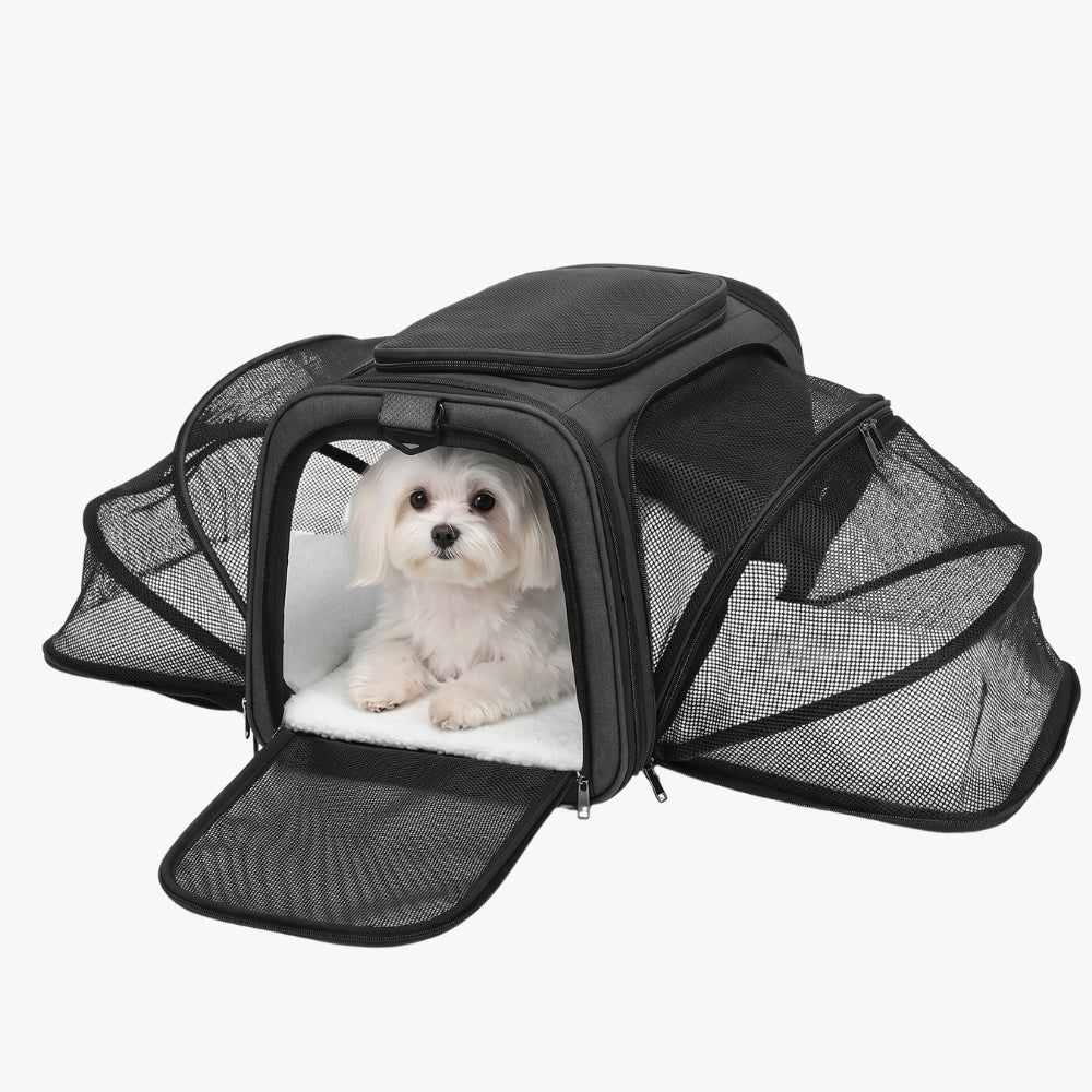 sac-de-transport-pour-chien-convertible-lit-moustiquaire-noir