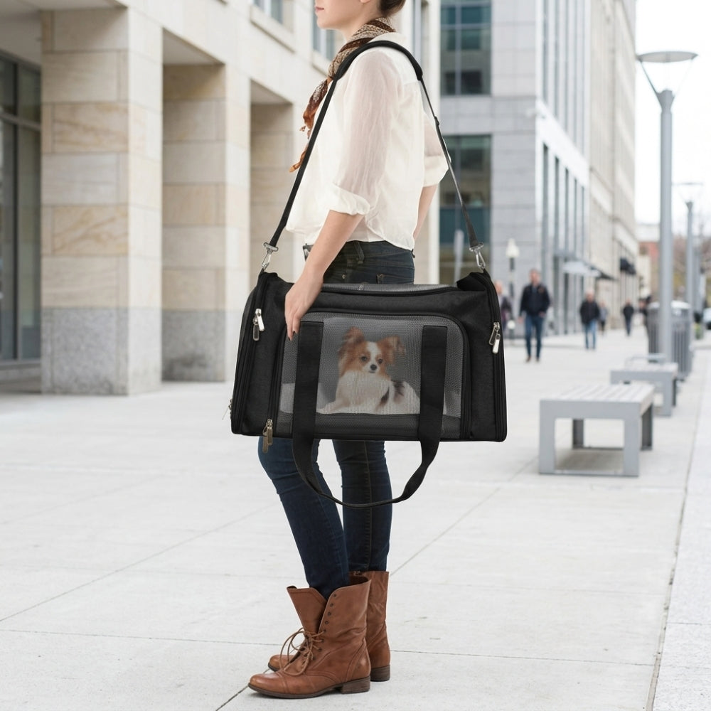 sac-de-transport-pour-chien-noir-rue