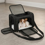 sac-de-transport-pour-chien-noir-sol