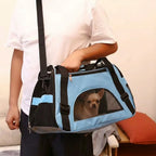 sac-de-transport-pour-petit-chien-respirant-bleu-situation