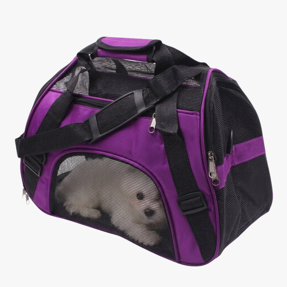 sac-de-transport-pour-petit-chien-respirant-violet