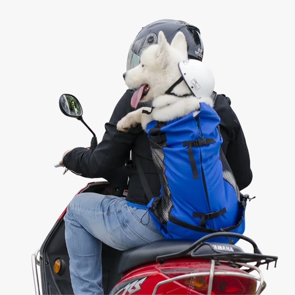 sac-dos-de-moto-pour-chien-bleu