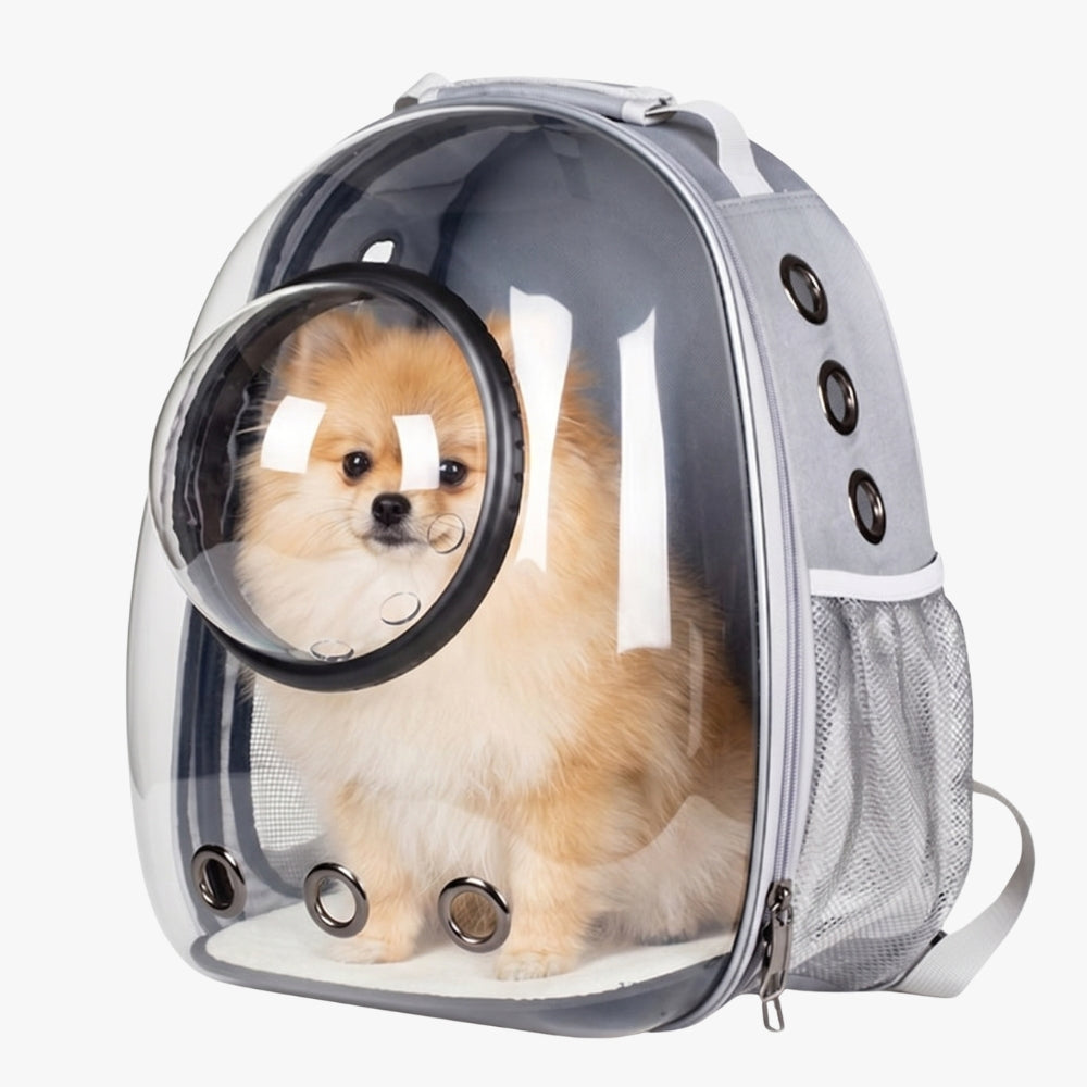 sac-dos-de-transport-pour-chien-transparent-gris