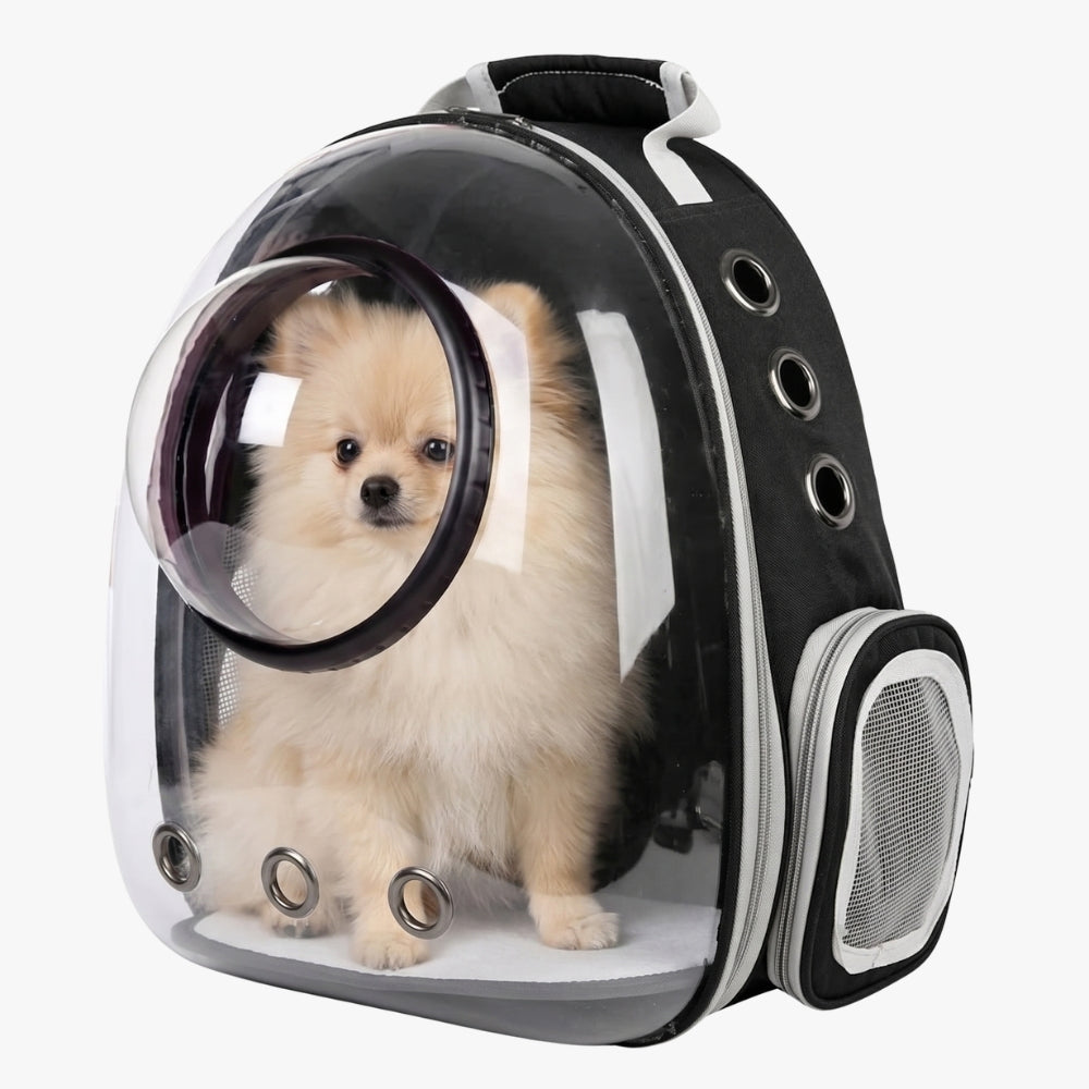 sac-dos-de-transport-pour-chien-transparent-noir