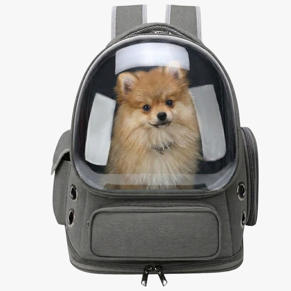 sac-dos-de-transport-pour-petit-chien-avec-fenetre-gris