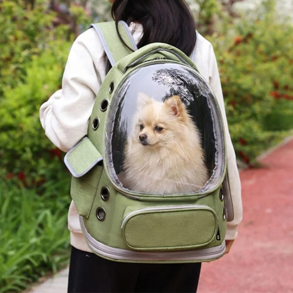 sac-dos-de-transport-pour-petit-chien-avec-fenetre-situation-2