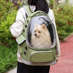 sac-dos-de-transport-pour-petit-chien-avec-fenetre-situation-2