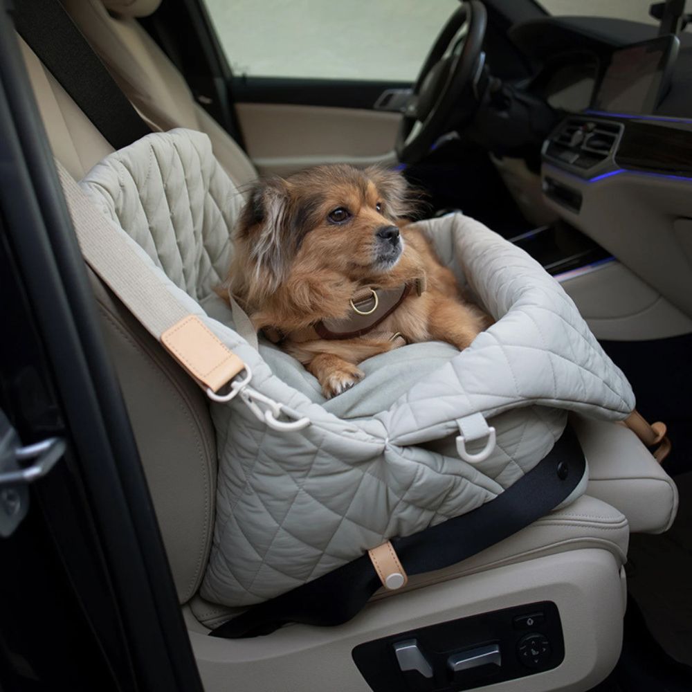 sac-main-pour-chien-impermeable-voiture