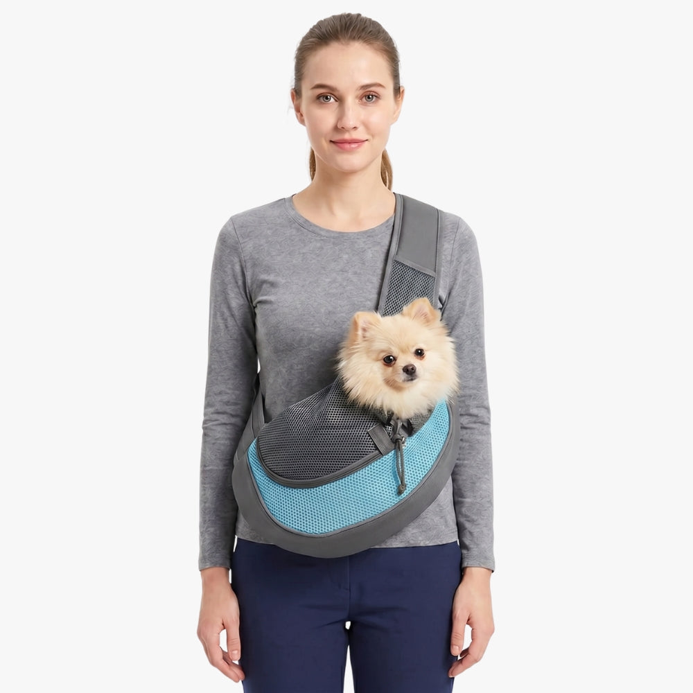 sacoche-de-transport-pour-petit-chien-bleu-clair