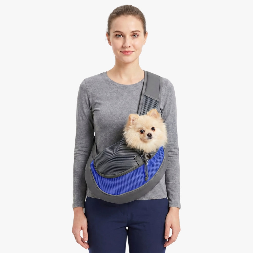 sacoche-de-transport-pour-petit-chien-bleu