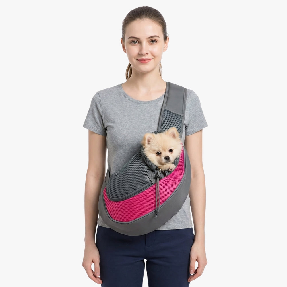 sacoche-de-transport-pour-petit-chien-fuchsia