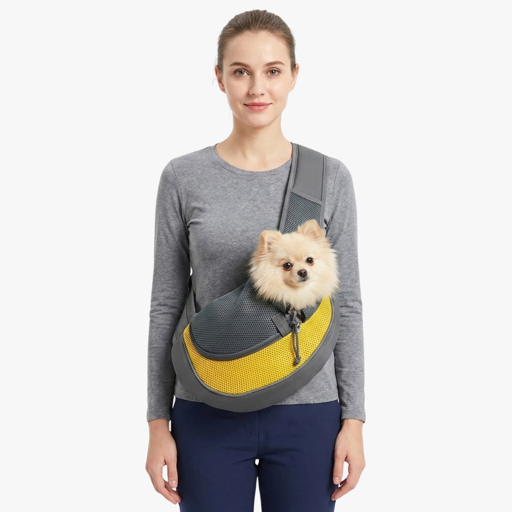 sacoche-de-transport-pour-petit-chien-jaune
