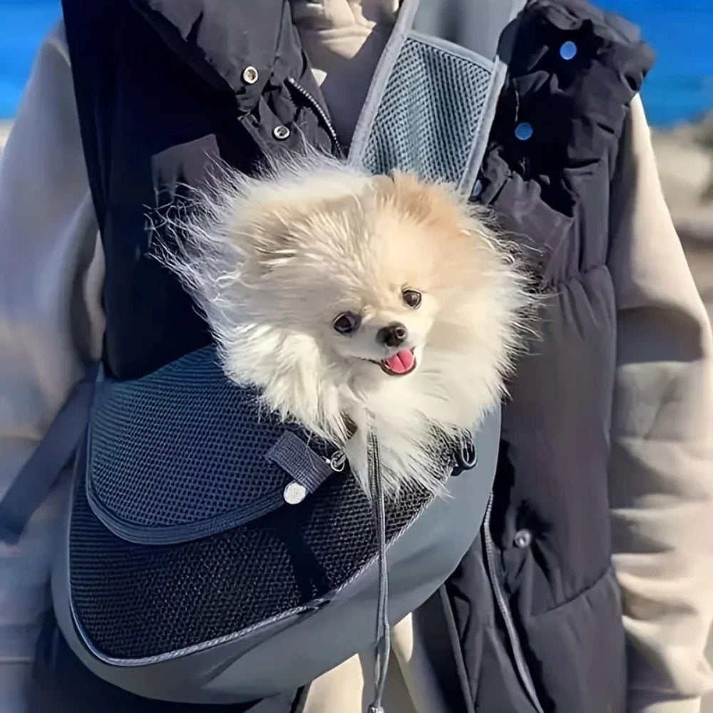 sacoche-de-transport-pour-petit-chien-noir-situation