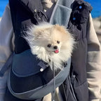 sacoche-de-transport-pour-petit-chien-noir-situation