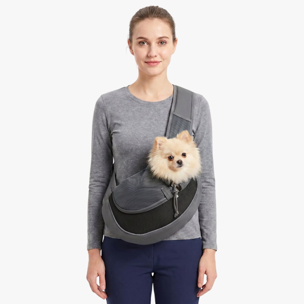 sacoche-de-transport-pour-petit-chien-noir