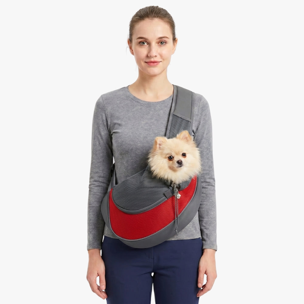 sacoche-de-transport-pour-petit-chien-rouge