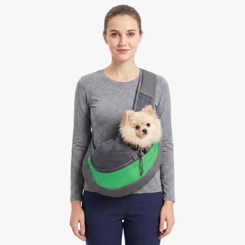 sacoche-de-transport-pour-petit-chien-vert