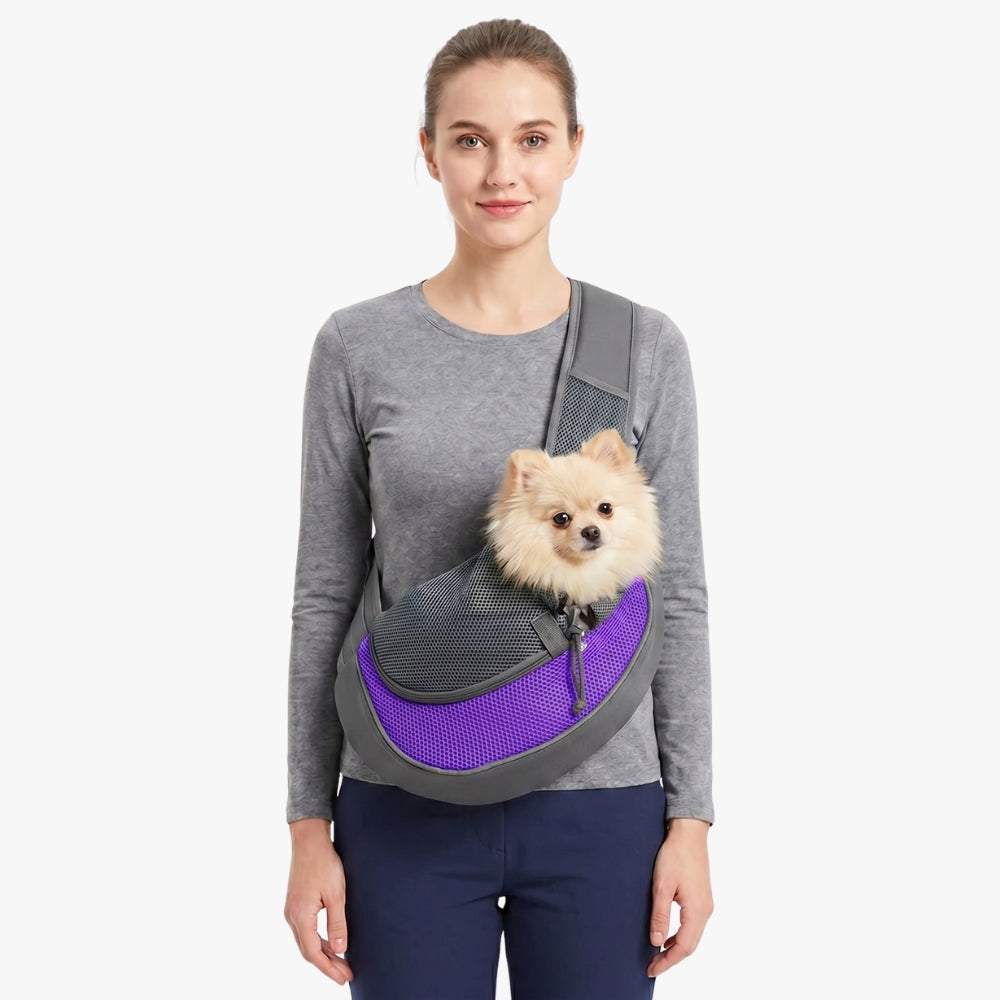 sacoche-de-transport-pour-petit-chien-violet
