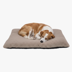 tapis-de-couchage-pour-chien-marron