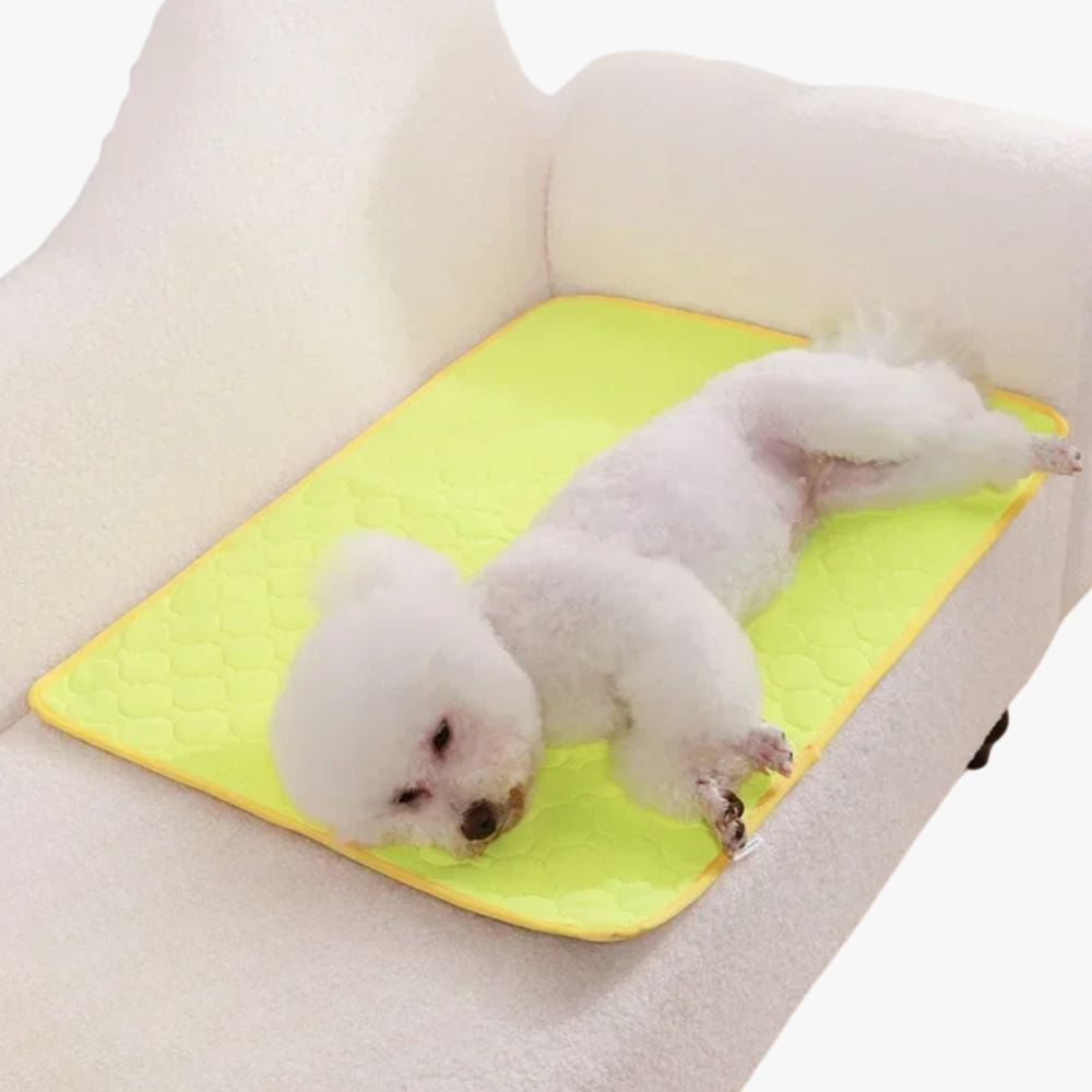 tapis-de-protection-de-canape-pour-chien-jaune