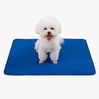 tapis-de-protection-de-canape-pour-chien-sol