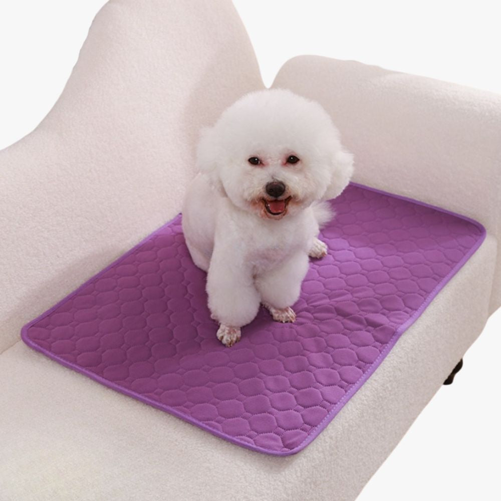 tapis-de-protection-de-canape-pour-chien-violet